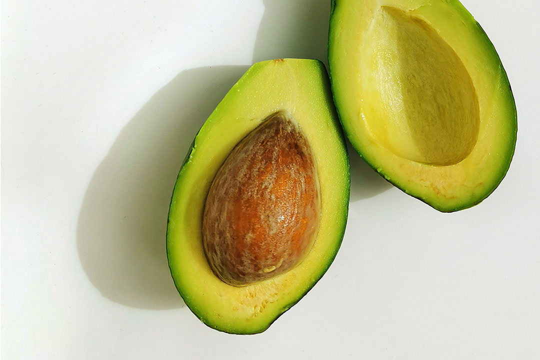 Avocado