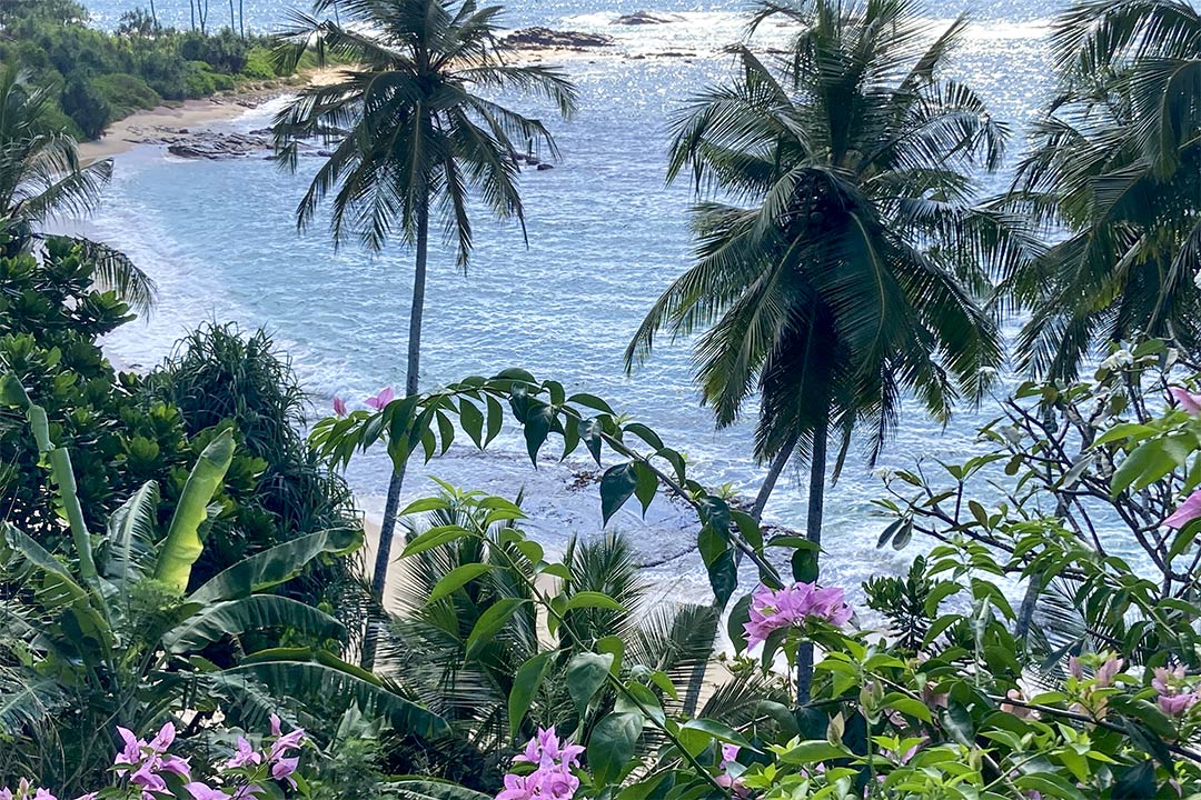 Eva Lanka Januar 2022 01