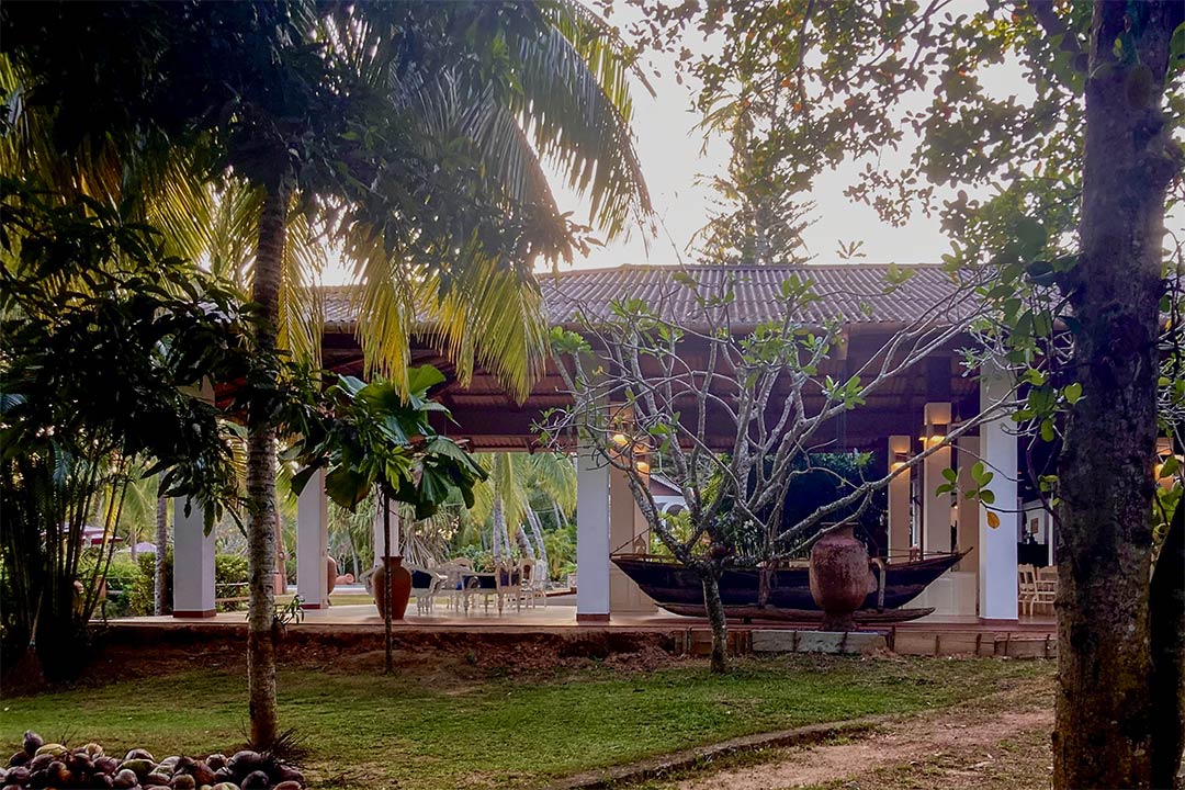 Eva Lanka Januar 2022 04