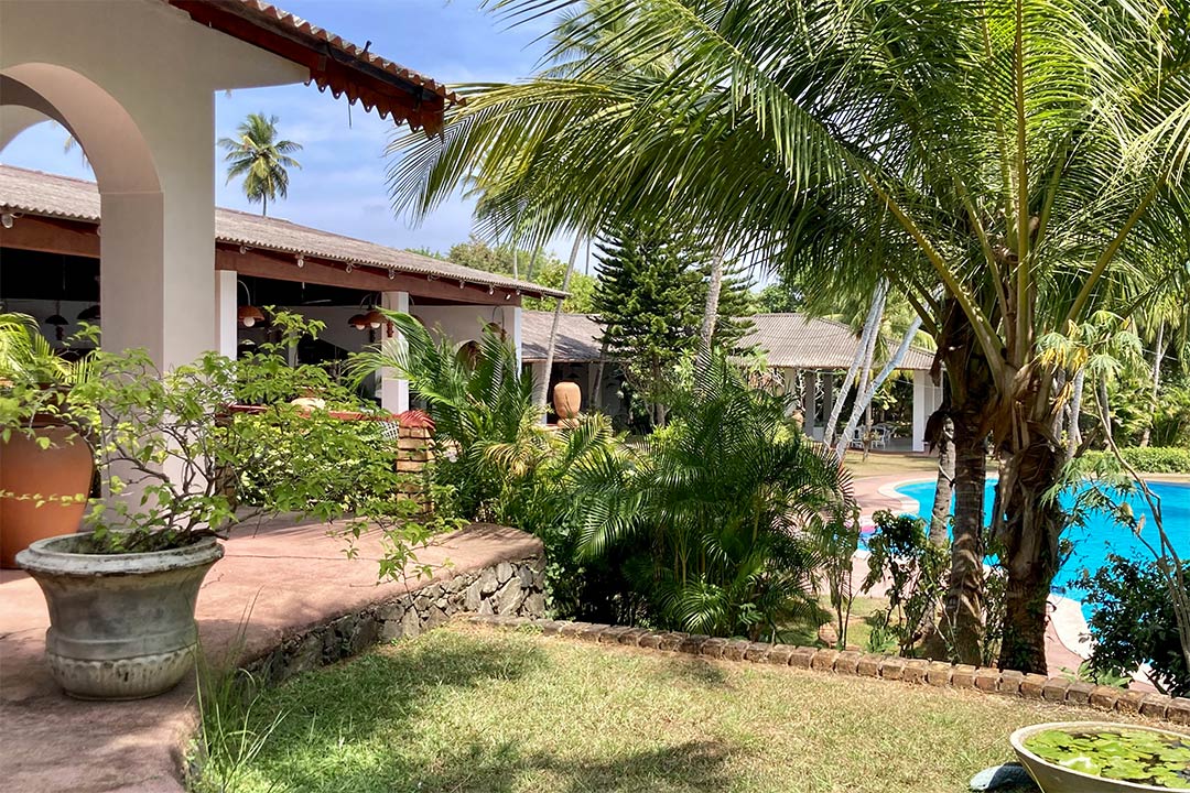 Eva Lanka Januar 2022 05