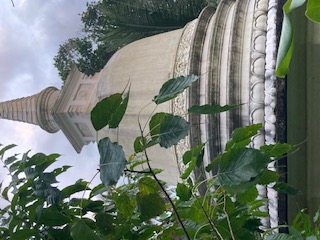 Buddhistischer Moench aus dem Sueden Sri Lankas 30