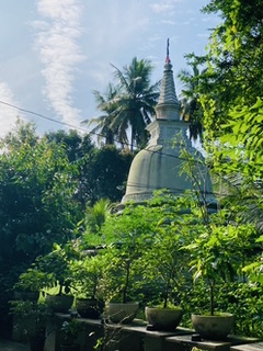 Buddhistischer Moench aus dem Sueden Sri Lankas 46