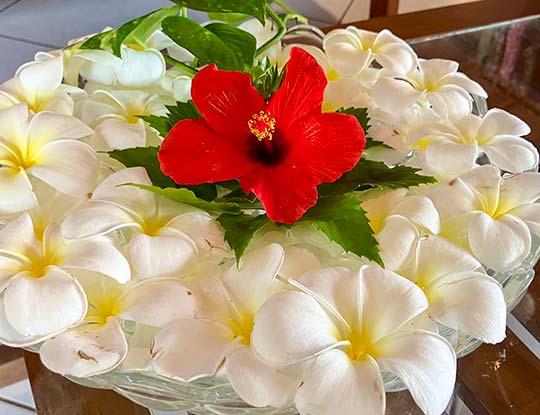 Sri Lanka Impressionen 009