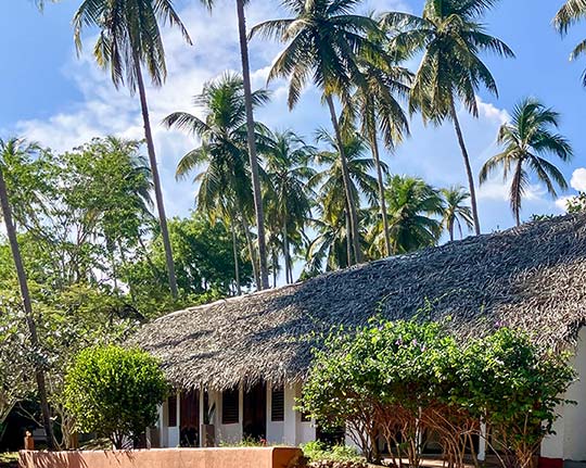 Sri Lanka Impressionen 010