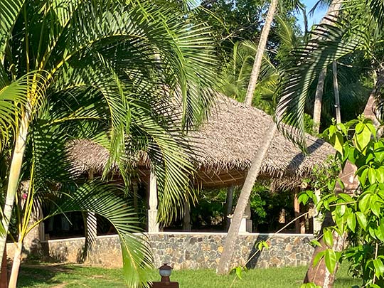 Sri Lanka Impressionen 013