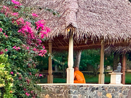 Sri Lanka Impressionen 014