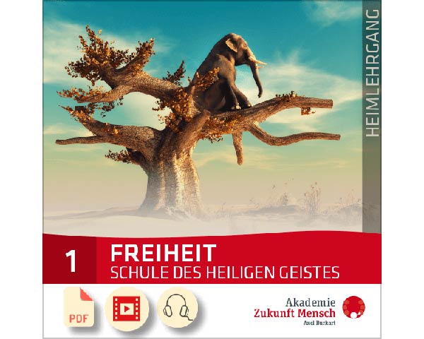 Freiheit: Schule der Selbsterkenntnis (Heim-Lehrgang) - Buch